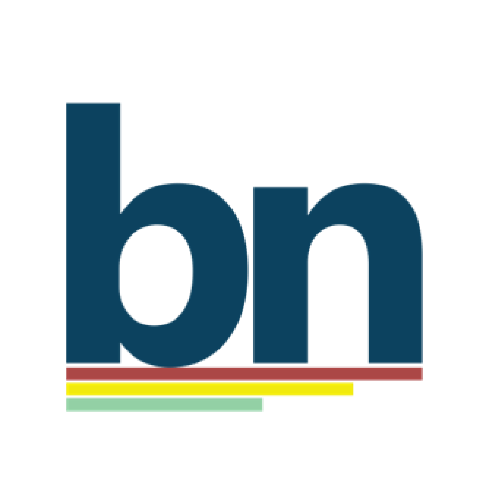 ally_logo
